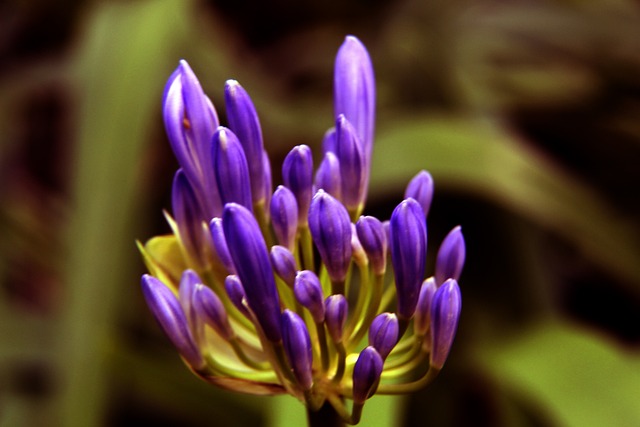 洛杉矶湖人 洛杉矶湖人