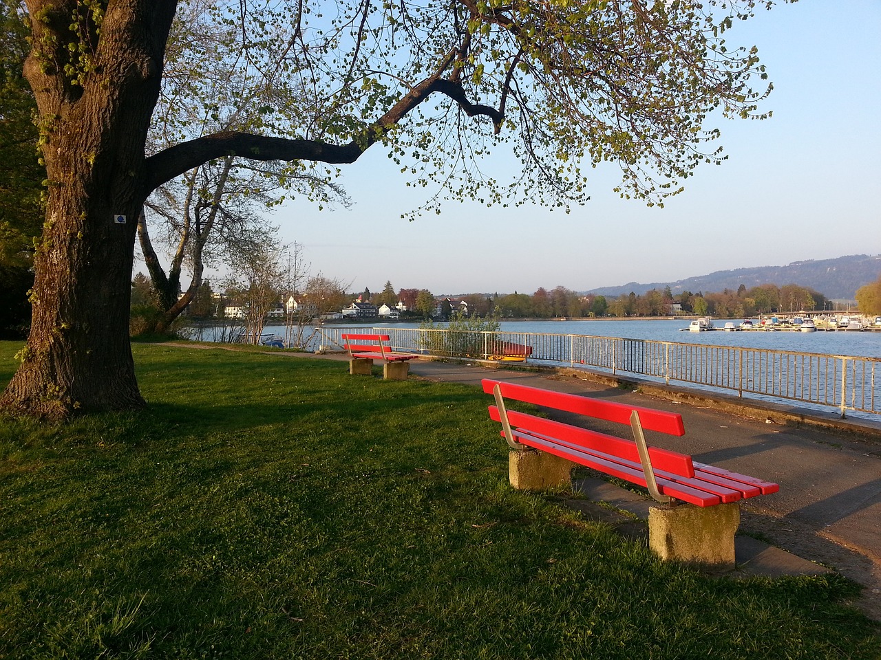 只有通过不 只有通过不