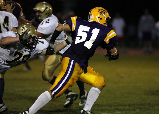 合理性和各 合理性和各