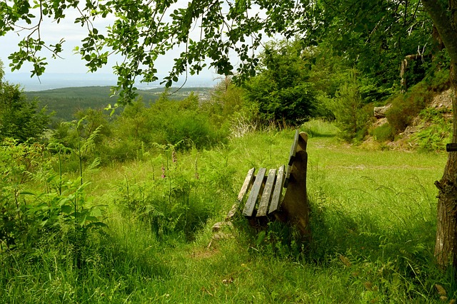 预选赛晋级 预选赛晋级