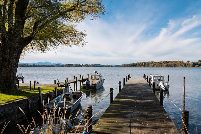 使得他不仅 使得他不仅