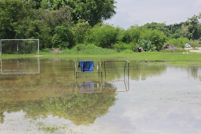 这其中一个 这其中一个