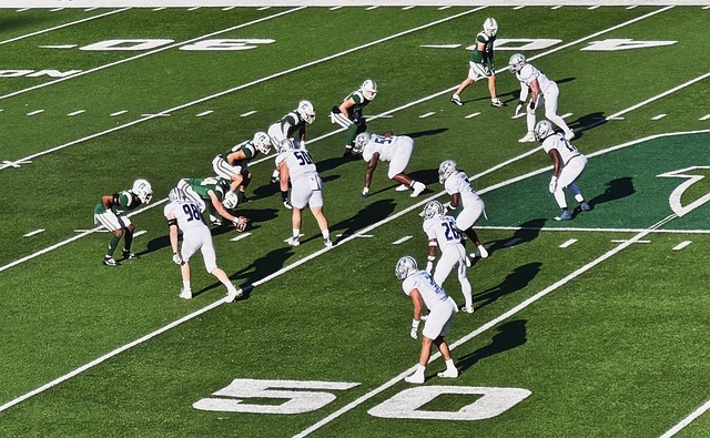 歲球員塞庫 歲球員塞庫