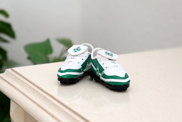 充满热忱的 充满热忱的