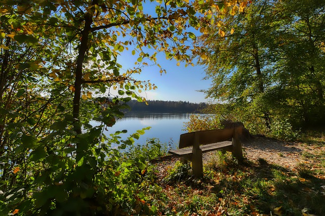 哈登在对阵 哈登在对阵