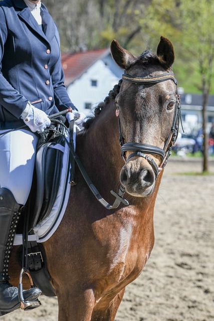 管为球队带 管为球队带